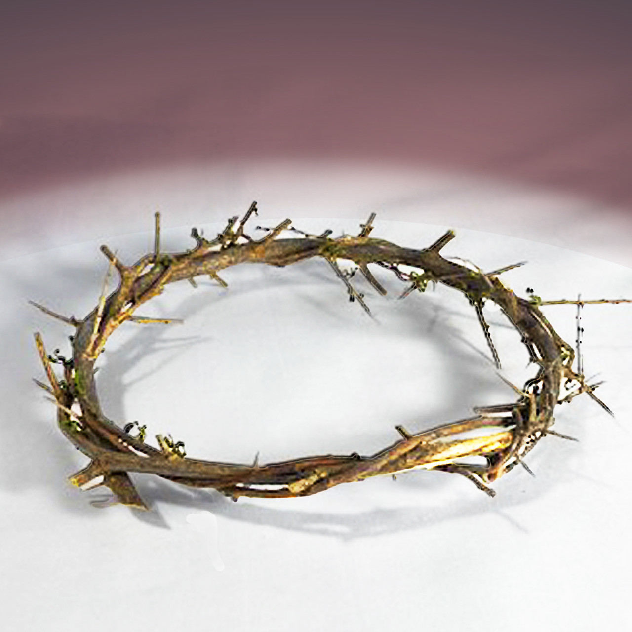 Crown of Thorns from the Holy Land