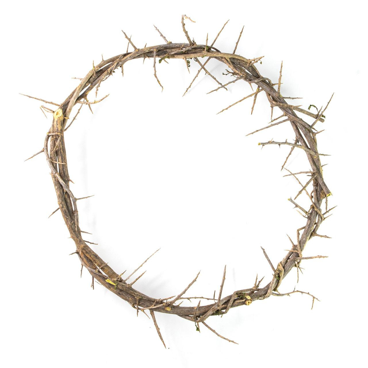 24" diameter Crown of Thorns comes boxed