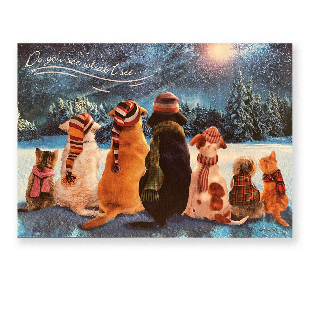 Set of Christmas Cards Do You See What I See with 10 cards/10 envelopes