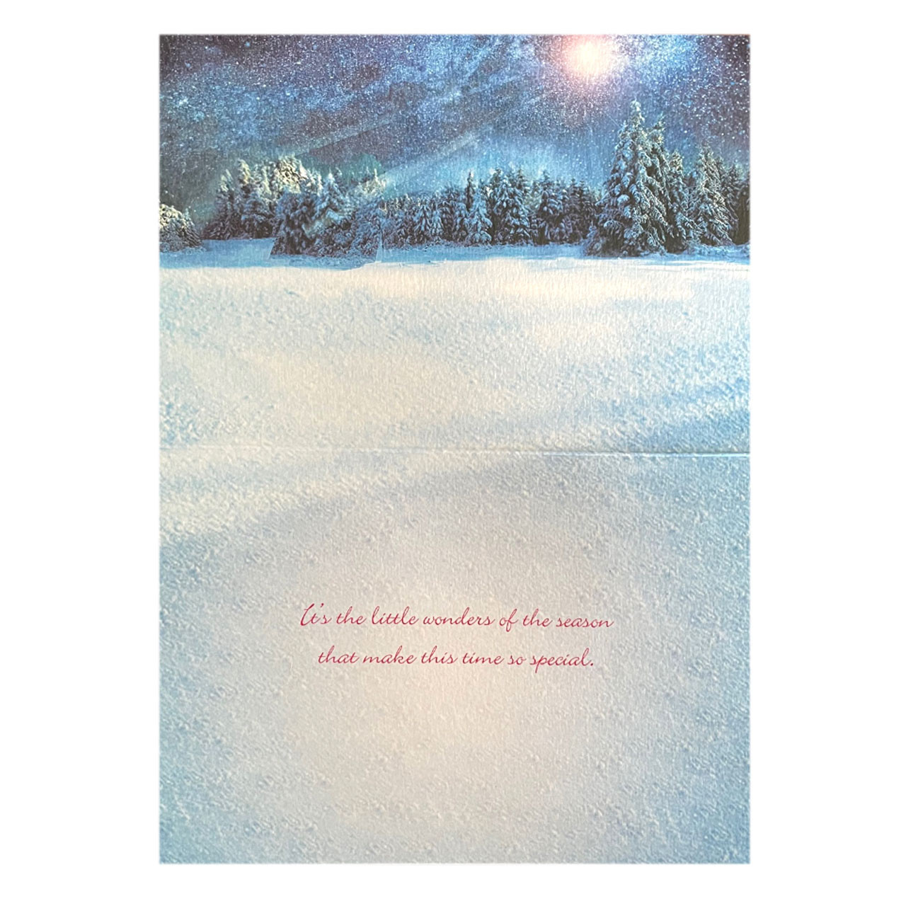 Inside of the Set of Christmas Card Do You See What I See