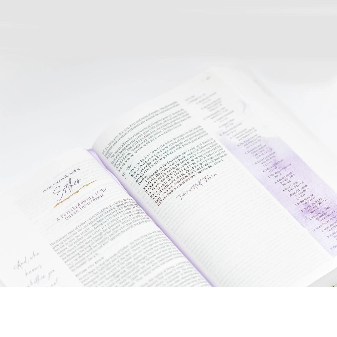 Page example in the Living the Word Catholic Women's Bible
