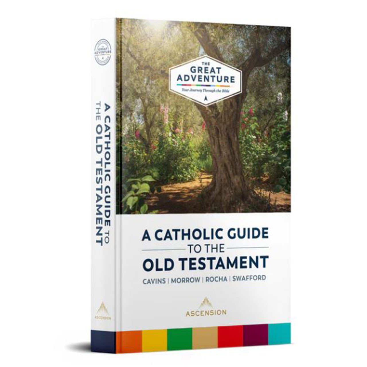 Catholic Guide to the Old Testament by Jeff Cavins and other authors