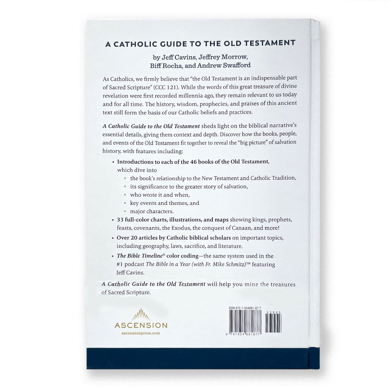 Back Cover of the Catholic Guide to the Old Testament