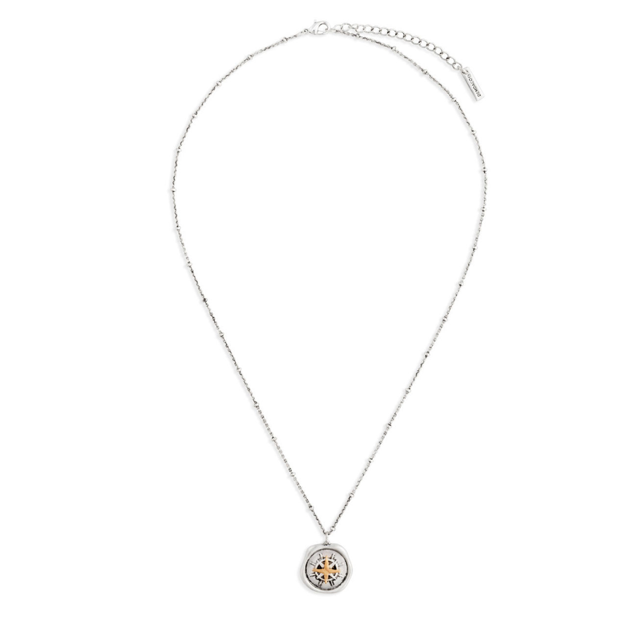 Photo of the entire Life Compass Necklace showing the extender chain