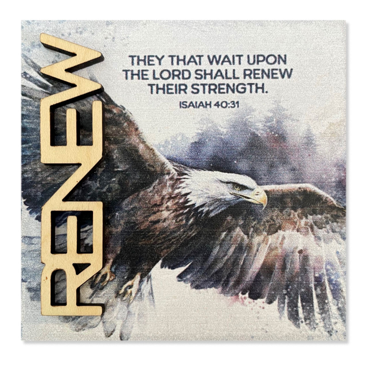 Renew Magnet and Plaque