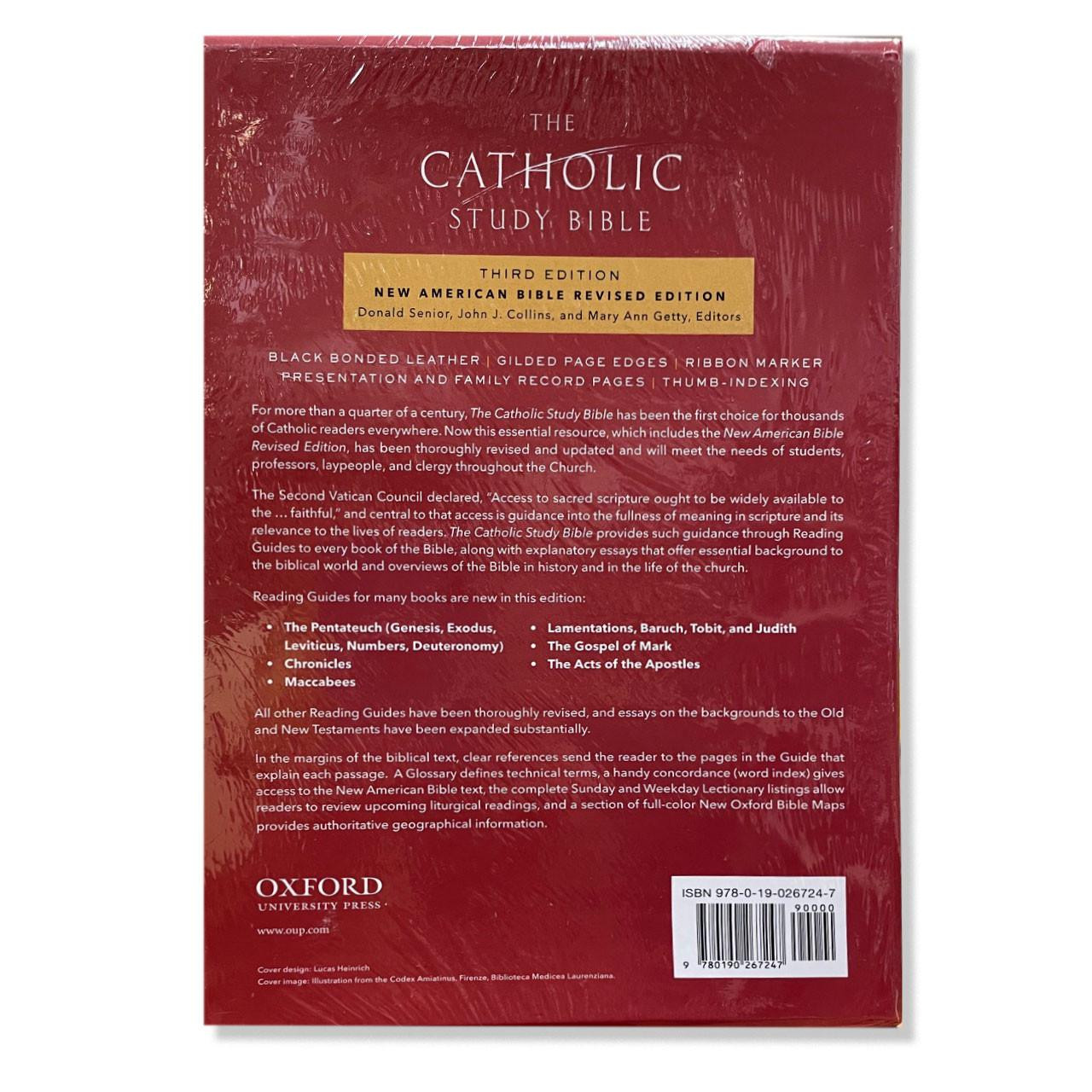 Back of the Bonded Leather Catholic Study Guide 3rd Ed