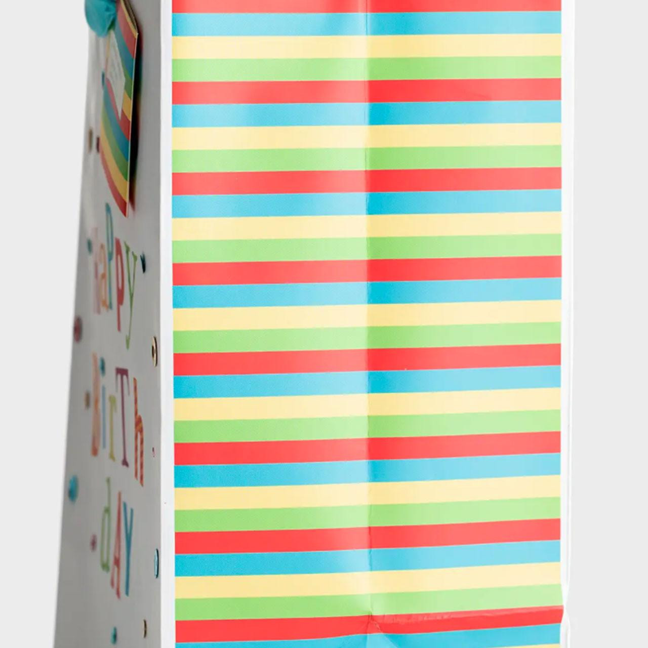 Sides of the Fun Birthday Gift Bag