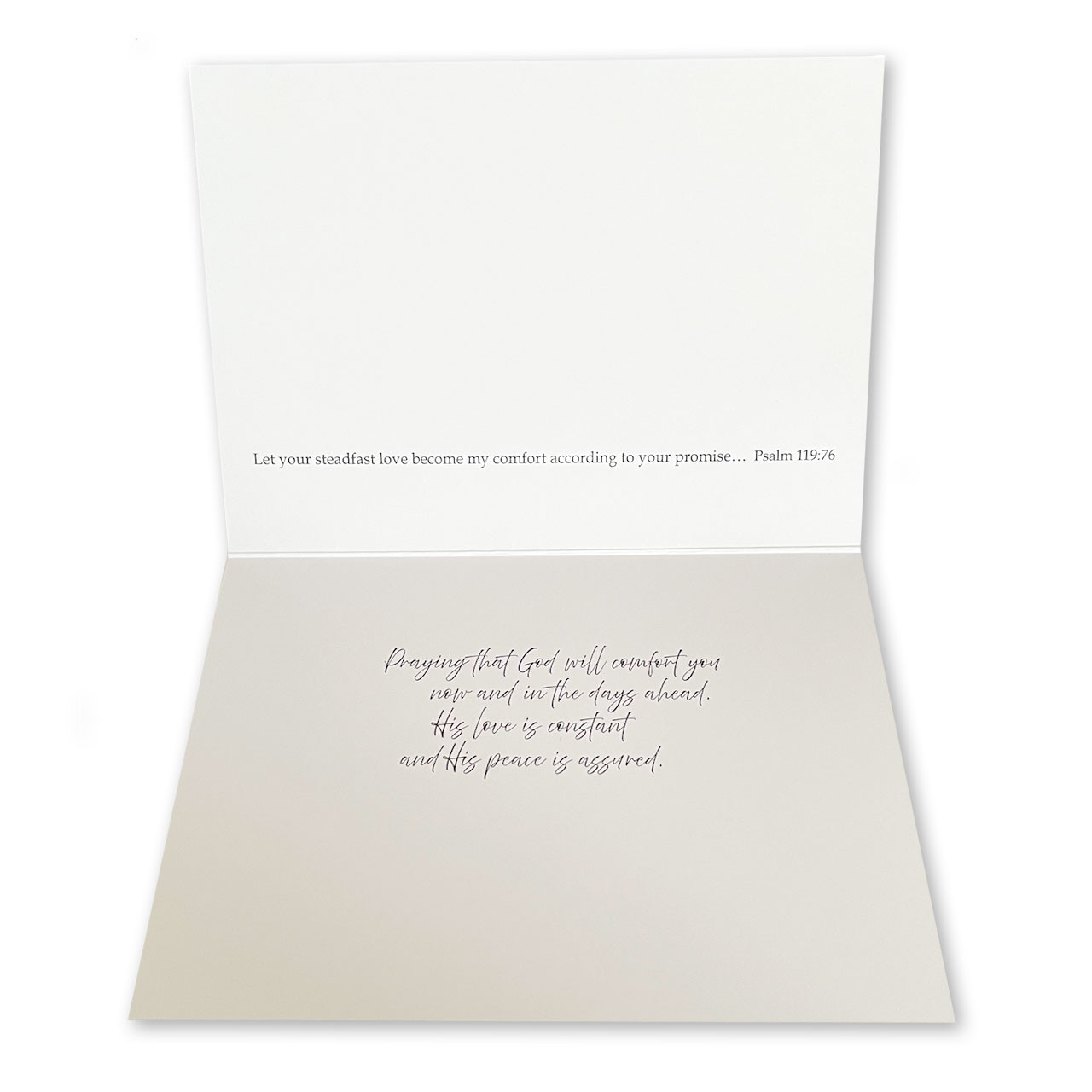 Inside of the CB40546 During Times of Illness Get Well Card