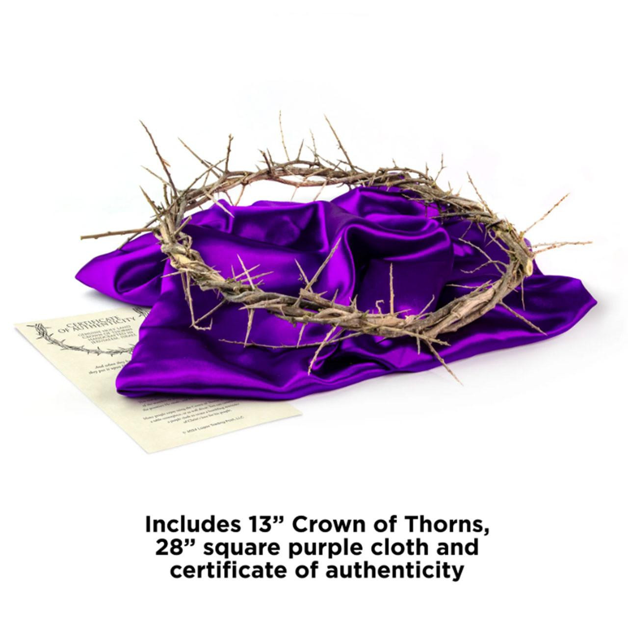 What is included with your purchase of the Crown of thorns 13IN