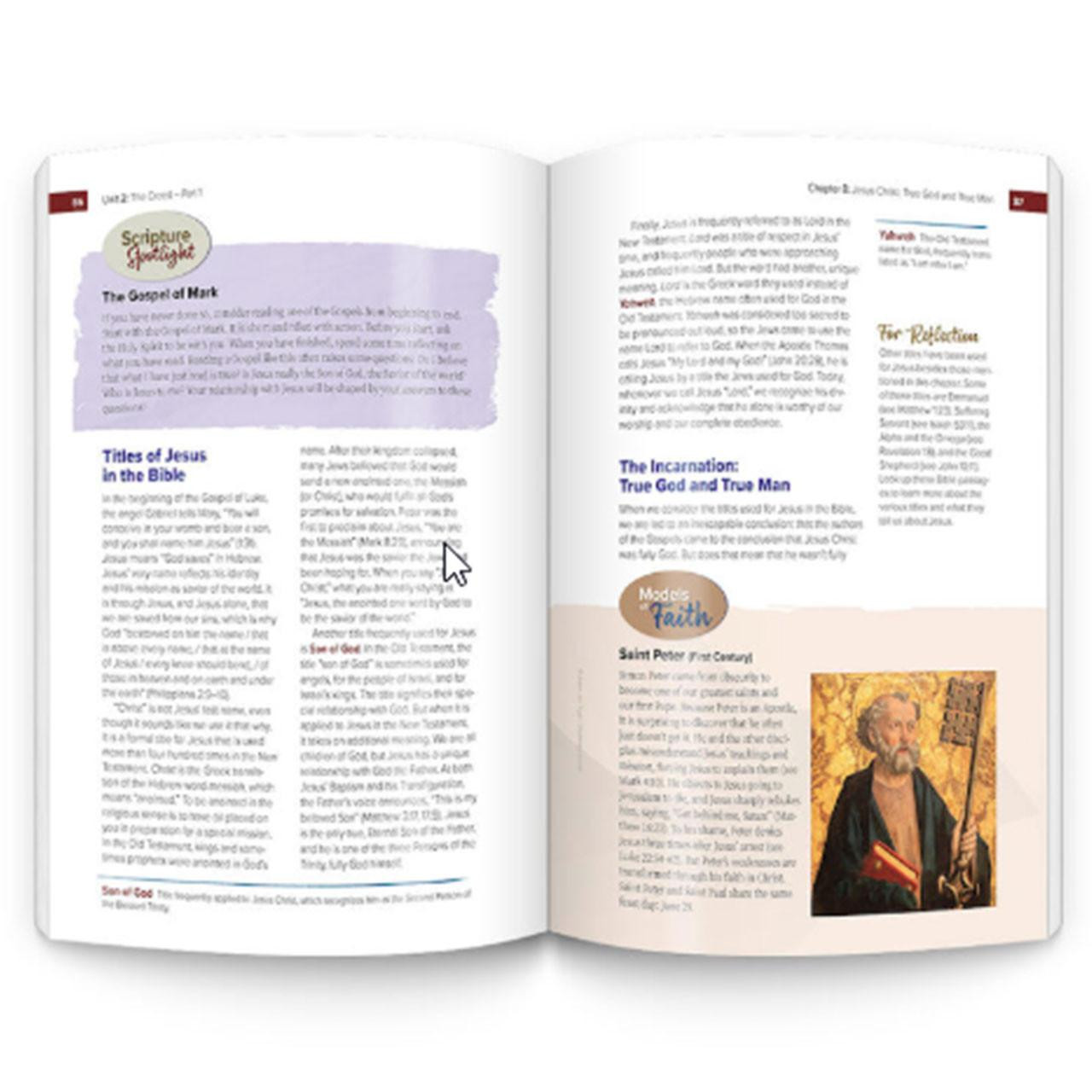 Scripture Spotlight section in The Catholic Faith Handbook 4th Ed.