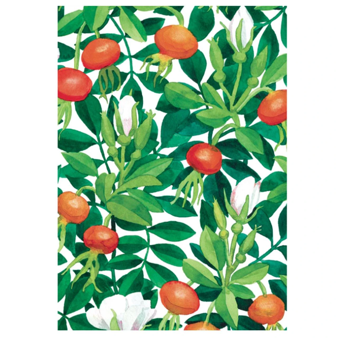 Rosehips card design
