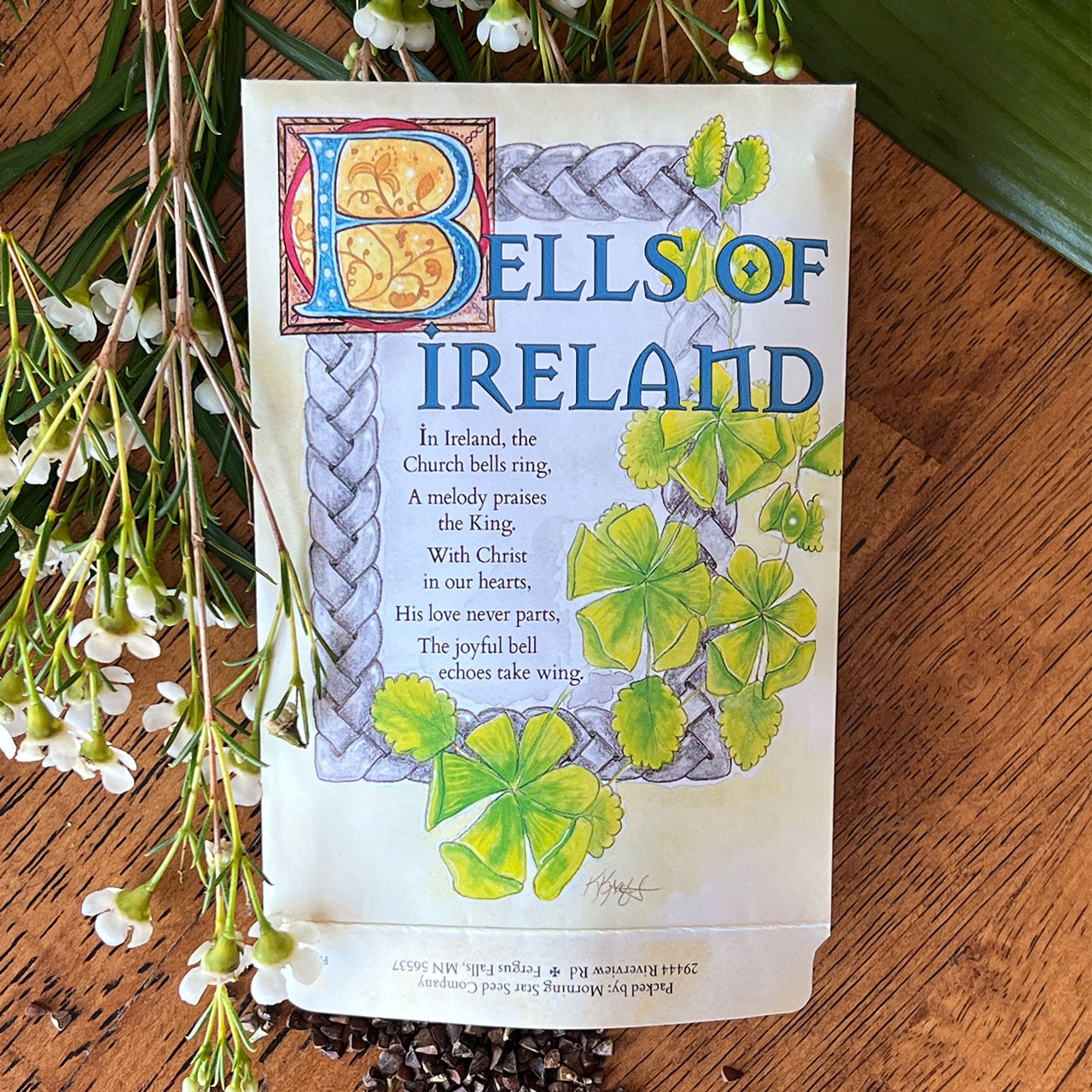Bells of Ireland Flower Seeds | St. Patrick's Guild