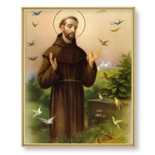 St. Francis Framed Print 11x14