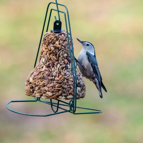 Seed Bell Wire Hanger shown with bell shaped treat in place and bird