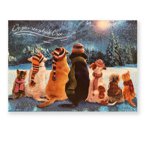 Set of Christmas Cards Do You See What I See with 10 cards/10 envelopes