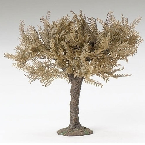 Single Fontanini Olive Tree