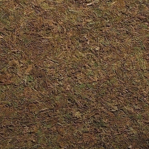 Fontanini Moss Landscape Accessory