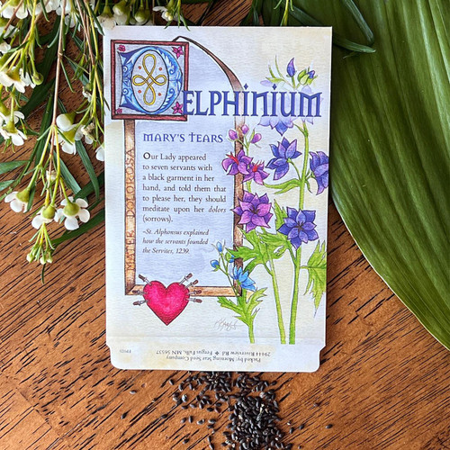 Mary's Tears Delphinium Flower Seeds