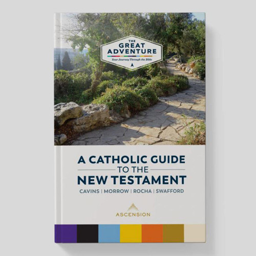 A Catholic Guide to the New Testament