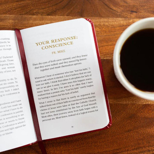 Pocket Guide to Reconciliation by Fr. Schmitz & Fr. Johnson