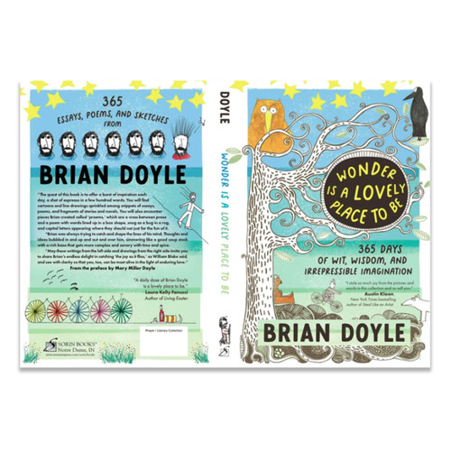 Full cover of Wonder is a Lovely Place to Be by Brian Doyle