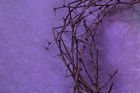 Crown of Thorns: Engaging Children During the Lent Season