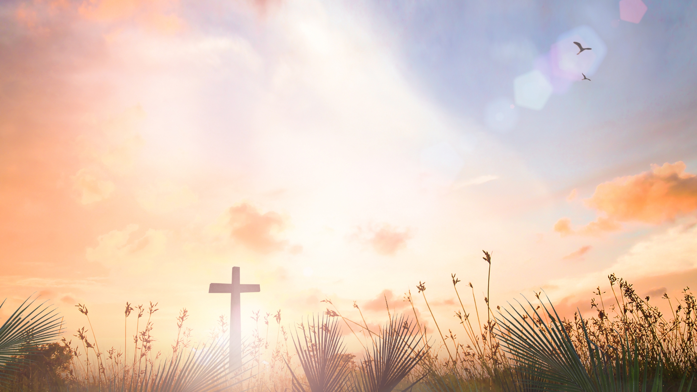 What to Wear on Palm Sunday: Colors and Attire Guide