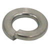 Stainless Spring Washer