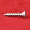 Raised head self tapping screw stainless XR