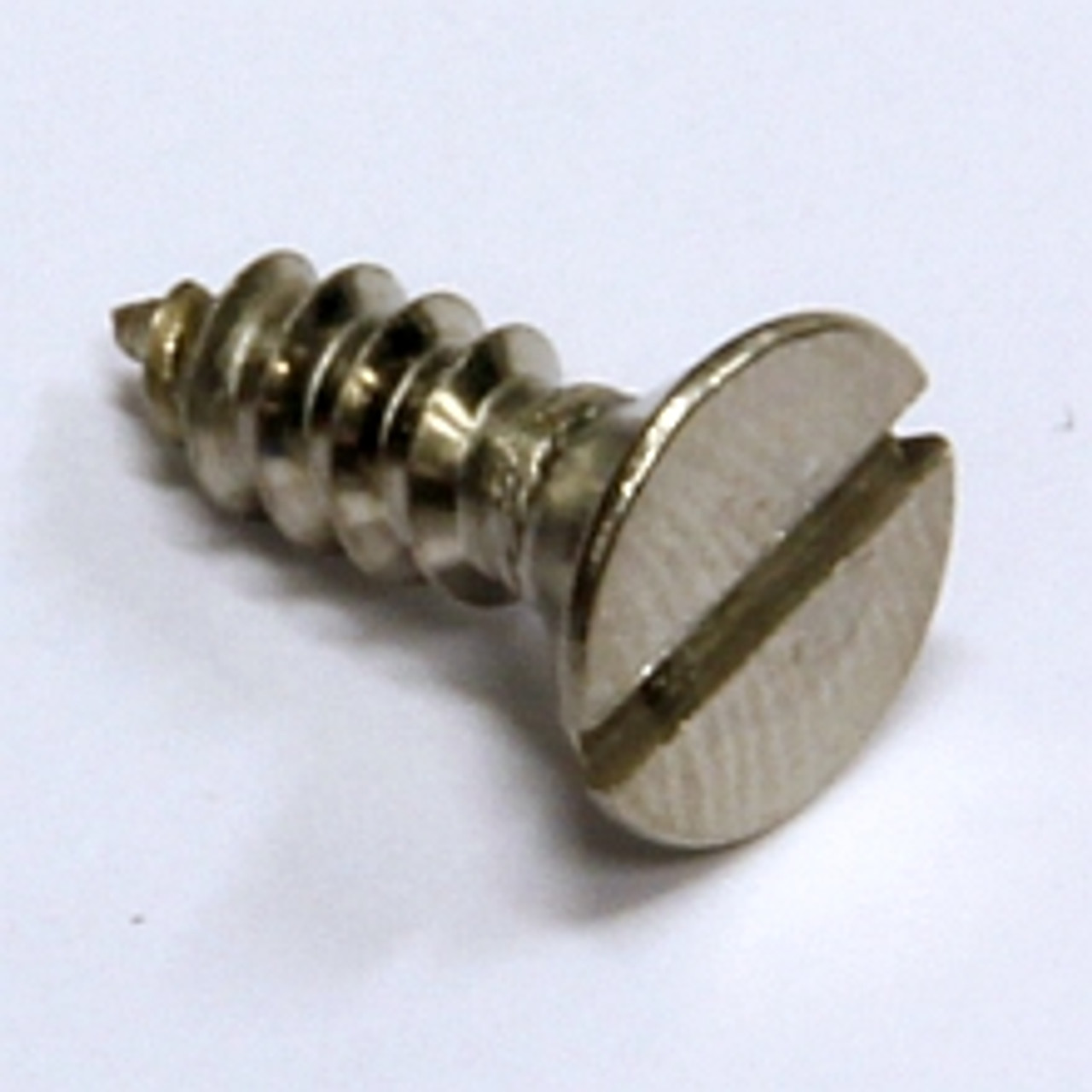Countersunk slot self tapping screw stainless