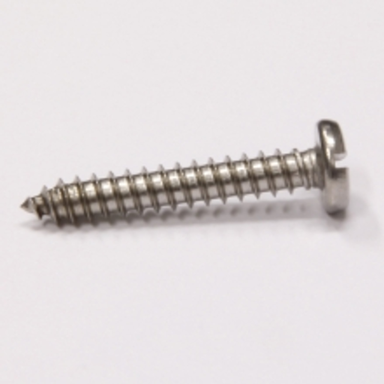 Pan head slot self tapping screw