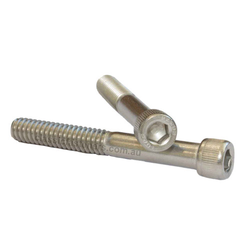 Socket Cap Stainless 1/4 UNC x 2