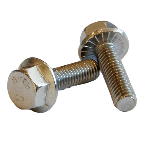 Flange bolt M6 x 20mm 10mmAF Stainless 304