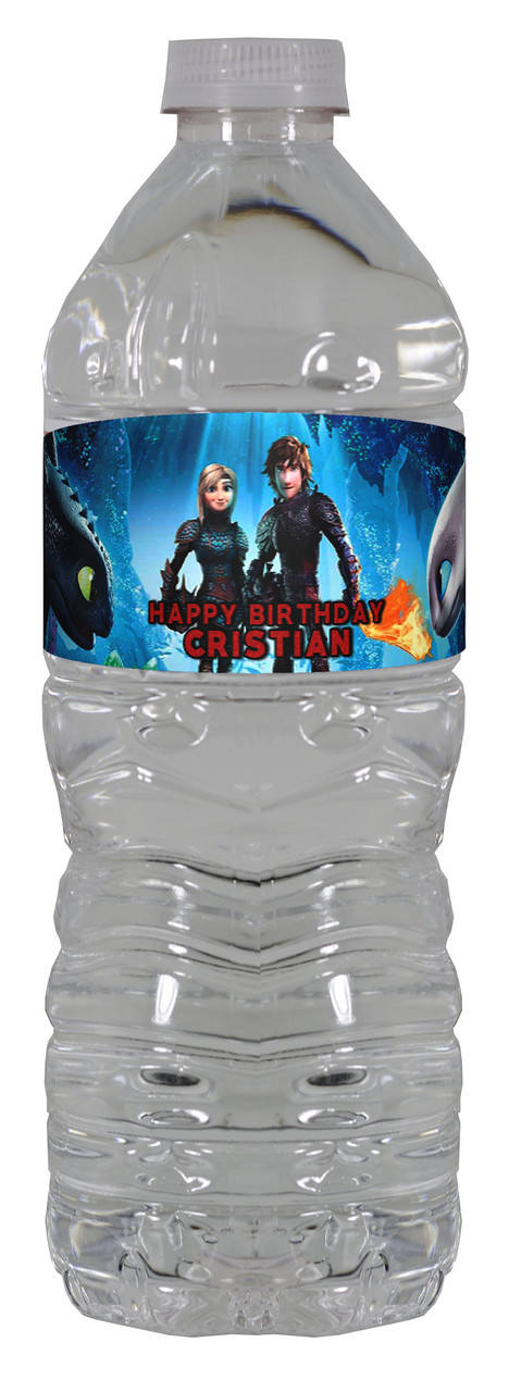 https://cdn11.bigcommerce.com/s-4c994/images/stencil/1280x1280/products/2225/3620/How_to_Train_your_Dragon_the_Hidden_World_Water_Bottle__81977.1565541166.jpg?c=2