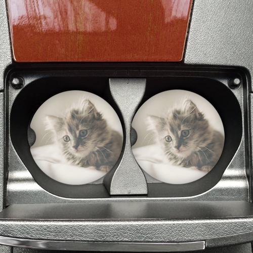 Photo Gift Sandstone Car Coasters (Set of 2) (S