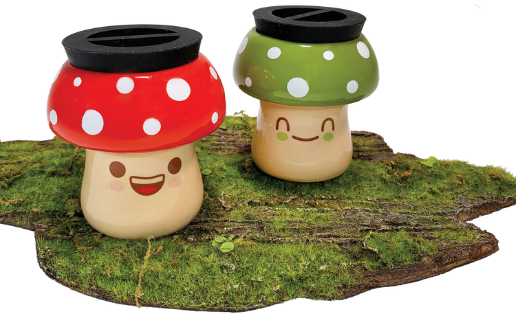 Mushroom Stash Jar (1)