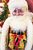 Mark Roberts 50 in Mailbox Santa