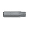 Torx Tx40 X 25Mm Tamper Proof Insert Bit