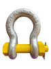 Bow Shackle With Safety Pin 32Mm 12T Grade S