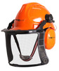 Maxisafe Forestry Kit With Mesh Visor And Muffs Complete