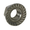 Serrated 1/4" Flange Nut Stainless Steel 304