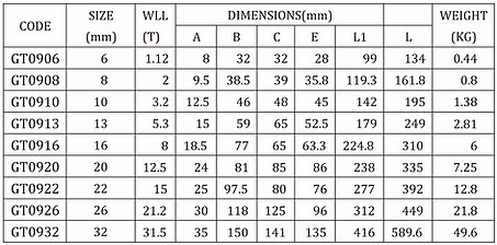 G80 Safety Self-Locking Hook Clevis 10Mm