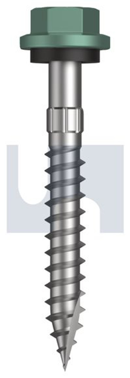 Type 17 Hex Head + Washer #14-10 X50 Wilderness (Rivergum) -Cl4