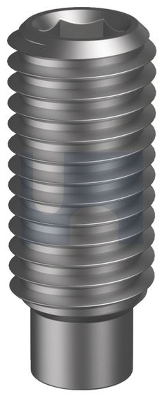 Socket Set Dog Pt Pln M12 X 12 Din915/Alloy