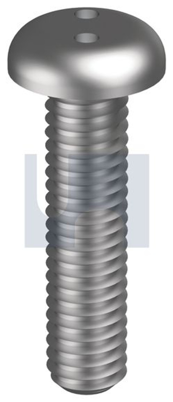 Metal Thread Pan Eye Drive Ss304 M6 X 30 Hec Security Screw