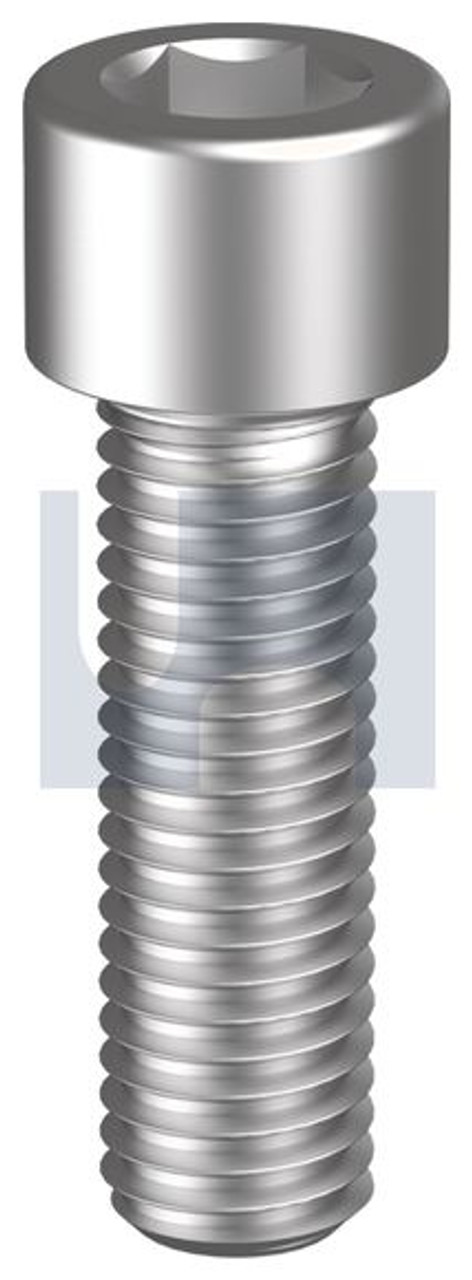 Socket Hd Cap Screw Ss316   M10 X 100 Din 912