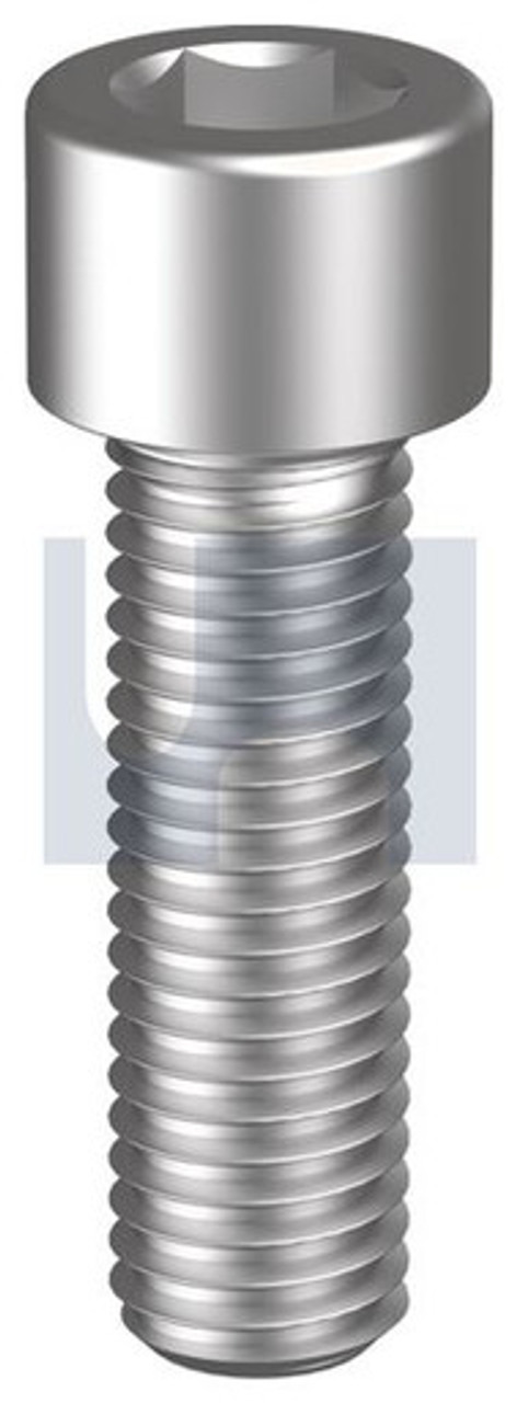 Socket Head Cap Screw SS304 1/4 x 5/8 UNC
