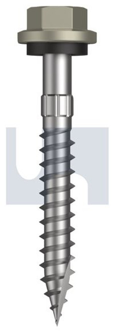 Type 17 Hex Head + Washer #14-10 X50 Bushland - Cl4