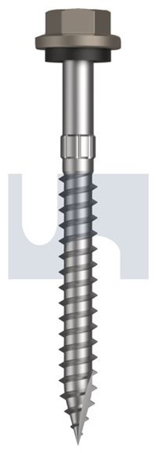 Type 17 Hex Head + Washer #14-10 X65 Gully - Cl4