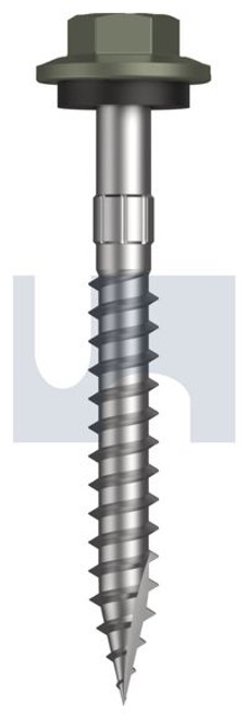 Type 17 Hex Head + Washer #12-11 X50 Mangrove - Cl4